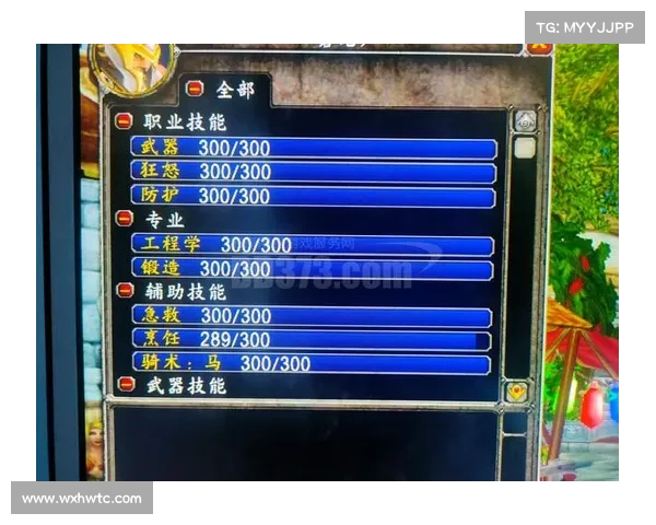 魔兽世界战士双武装战斗技巧解析